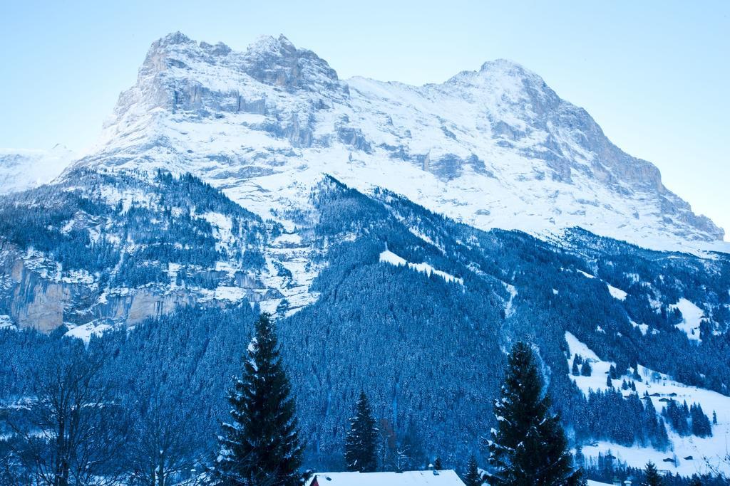 Bernerhof Residence Grindelwald Esterno foto